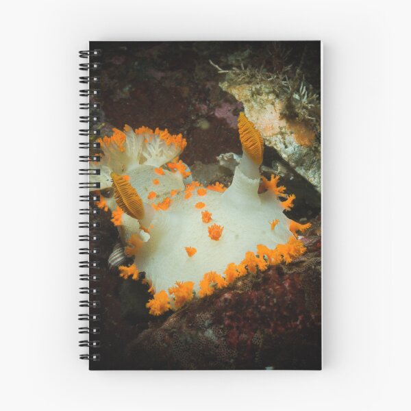 Item preview, Clowning Around designed and sold by SalishSeascapes.