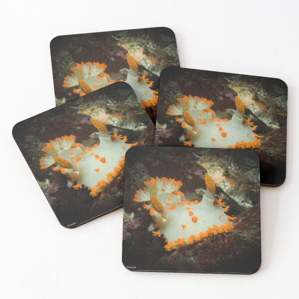 Item preview, Clowning Around designed and sold by SalishSeascapes.