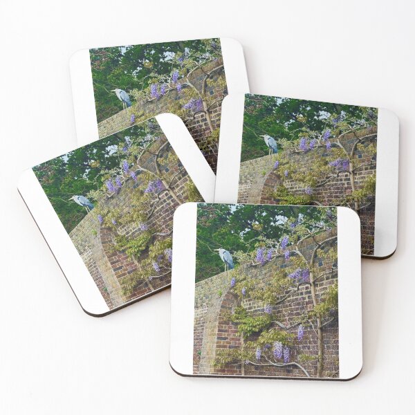 Item preview, Heron Amongst the Wisteria. Spring vibes in Holland Park, London designed and sold by The Running London Photographer.