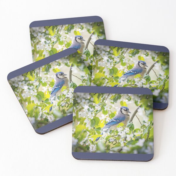 Item preview, Blue Jay in flowering Crabapple Tree designed and sold by Shannon Emmel .