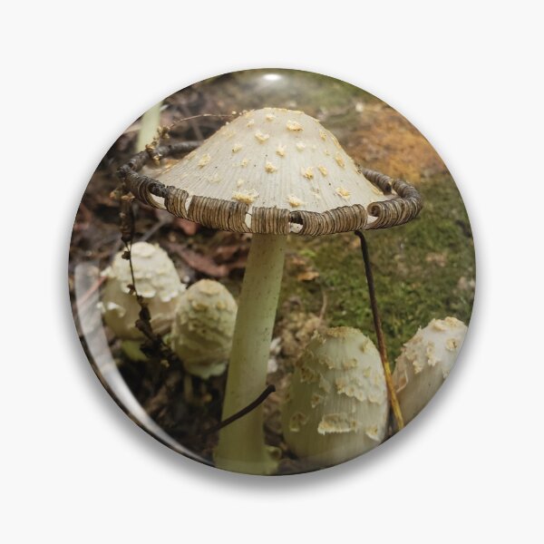 Item preview, Inkcap Family designed and sold by AmazingAmanda42.