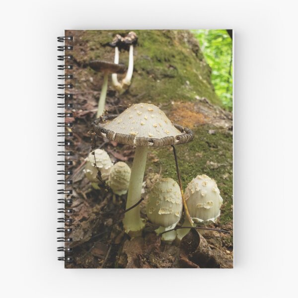 Item preview, Inkcap Family designed and sold by AmazingAmanda42.