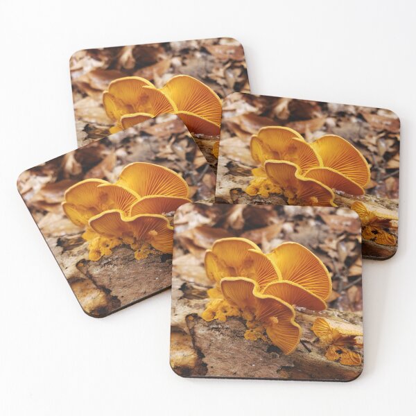 Item preview, Orange Oysters designed and sold by AmazingAmanda42.