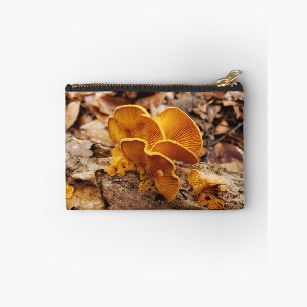 Item preview, Orange Oysters designed and sold by AmazingAmanda42.