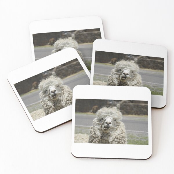 Item preview, Llama from the south of Peru photographed during covid designed and sold by kimagemiami.