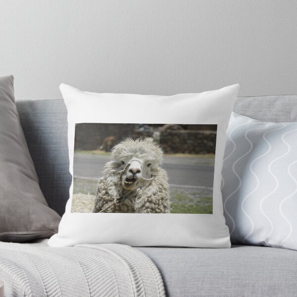 Item preview, Llama from the south of Peru photographed during covid designed and sold by kimagemiami.
