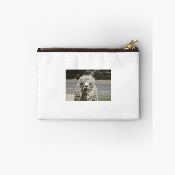 Item preview, Llama from the south of Peru photographed during covid designed and sold by kimagemiami.