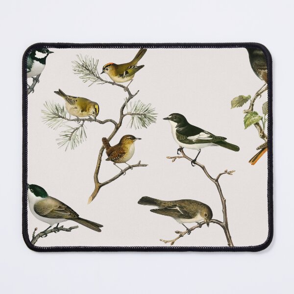 Item preview, Vinted bird collection designed and sold by BirdWatchClub.
