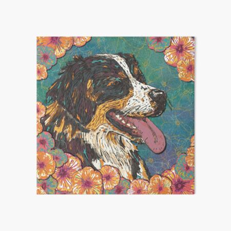 Bernese Mountain Dog Art Board Print