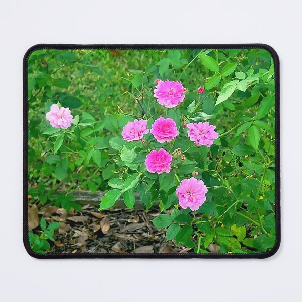 Item preview, Pink Rose Garden Charm designed and sold by Exodoi.