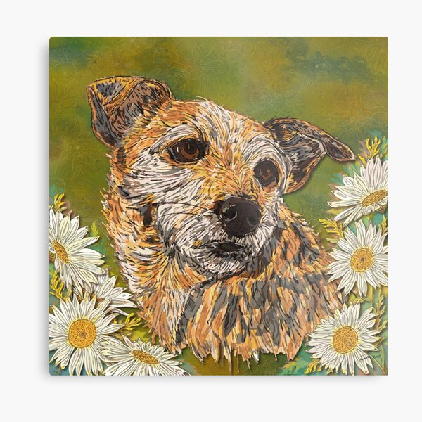 Border Terrier Metal Print