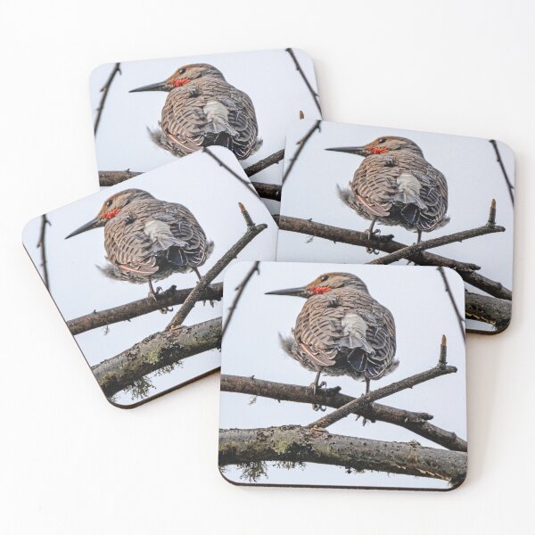 Item preview, Northern Flicker framed by branches in the late-day light designed and sold by lisavonbiela.