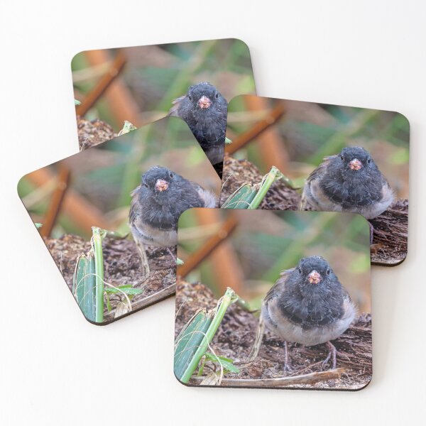 Item preview, Dark-eyed Junco feeding on the ground designed and sold by lisavonbiela.