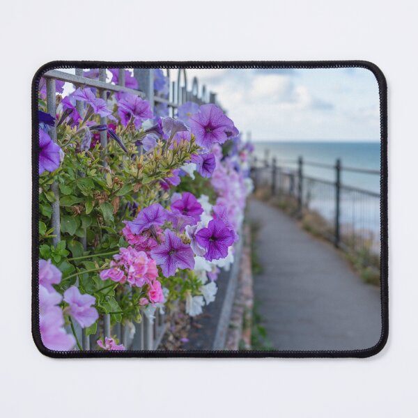 Item preview, Close up of flowers on Cromer clifftop designed and sold by yackers1.