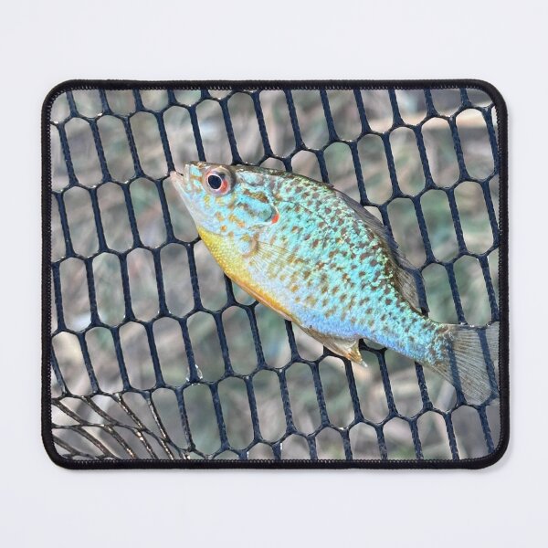 Item preview, sun perch designed and sold by Rostyslav Mudrenko.