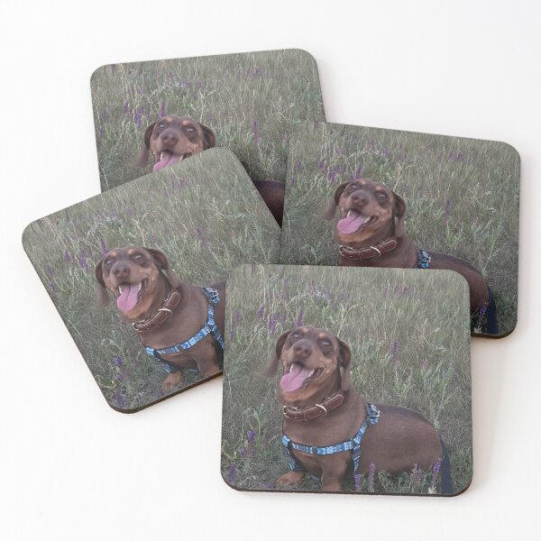 Item preview, dachshund designed and sold by Rostyslav Mudrenko.