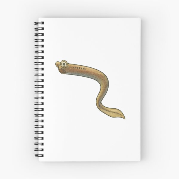 Item preview, Conodont Illustration, Extinct Primitive Fish Fossil Art designed and sold by Vendeloc.