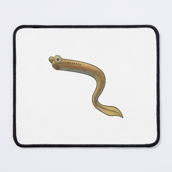 Item preview, Conodont Illustration, Extinct Primitive Fish Fossil Art designed and sold by Vendeloc.