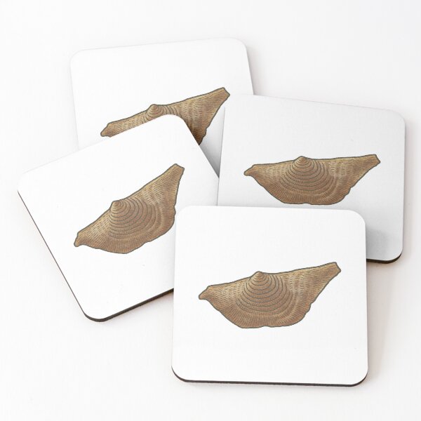Item preview, Brachiopod Illustration, Prehistoric Fossil Sea Creature Art designed and sold by Vendeloc.