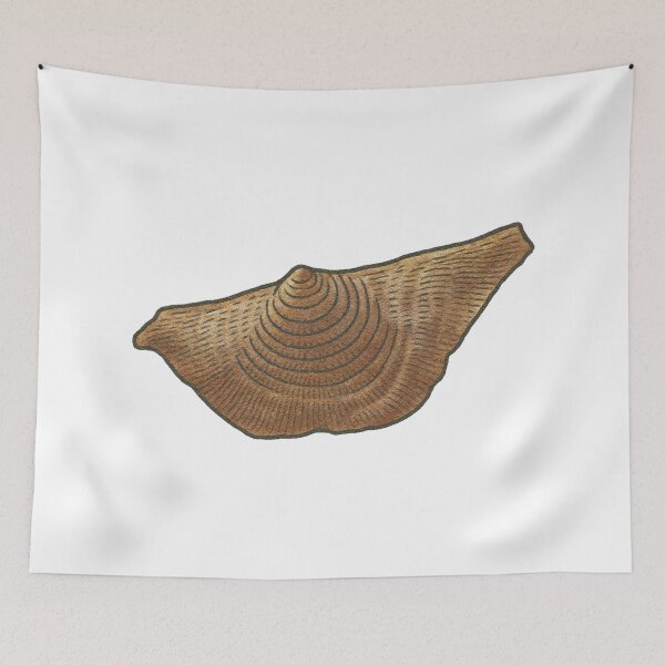 Item preview, Brachiopod Illustration, Prehistoric Fossil Sea Creature Art designed and sold by Vendeloc.