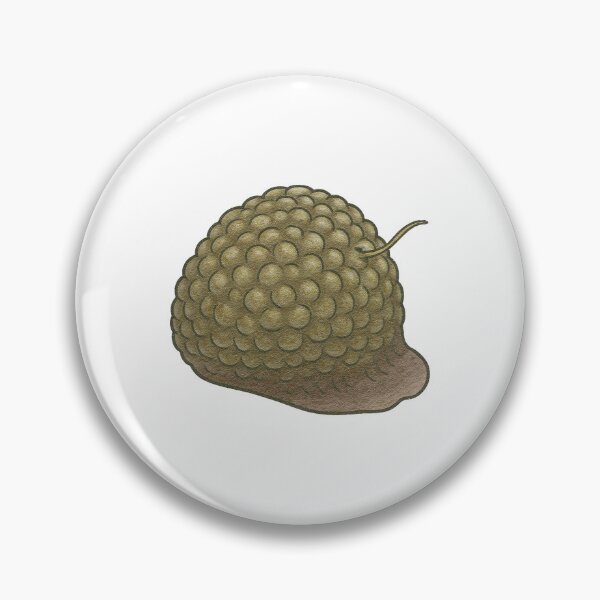 Item preview, Bryozoan Illustration, Prehistoric Colonial Sea Animal Fossil Art designed and sold by Vendeloc.