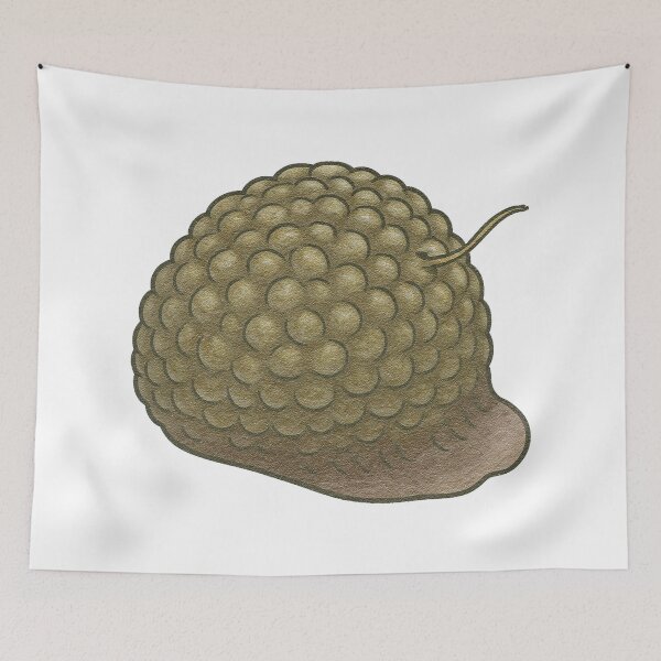 Item preview, Bryozoan Illustration, Prehistoric Colonial Sea Animal Fossil Art designed and sold by Vendeloc.