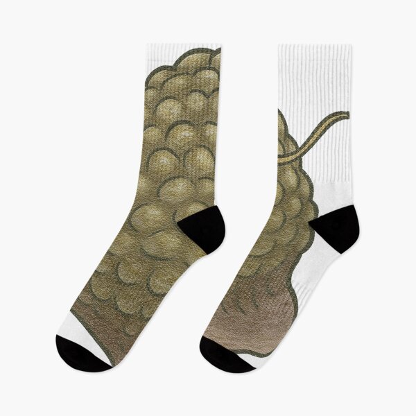 Item preview, Bryozoan Illustration, Prehistoric Colonial Sea Animal Fossil Art designed and sold by Vendeloc.