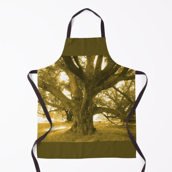 Item preview, Majestic Tree Bathed in Golden Light designed and sold by Robert Ball.