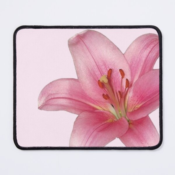 Item preview, pink lily flower sticker designed and sold by inainart.