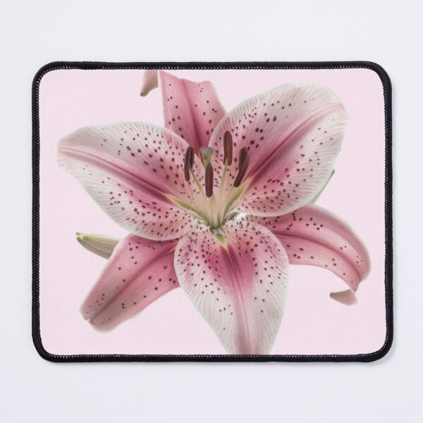 Item preview, spotted pink lily flower sticker designed and sold by inainart.