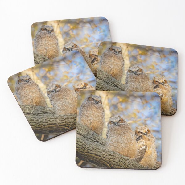 Item preview, Sleeping Great-horned Owlets designed and sold by Shannon Emmel .