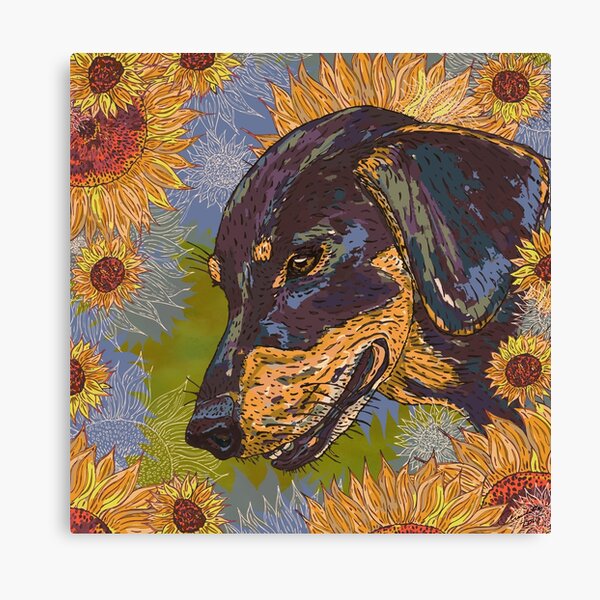 Dachshund Canvas Print