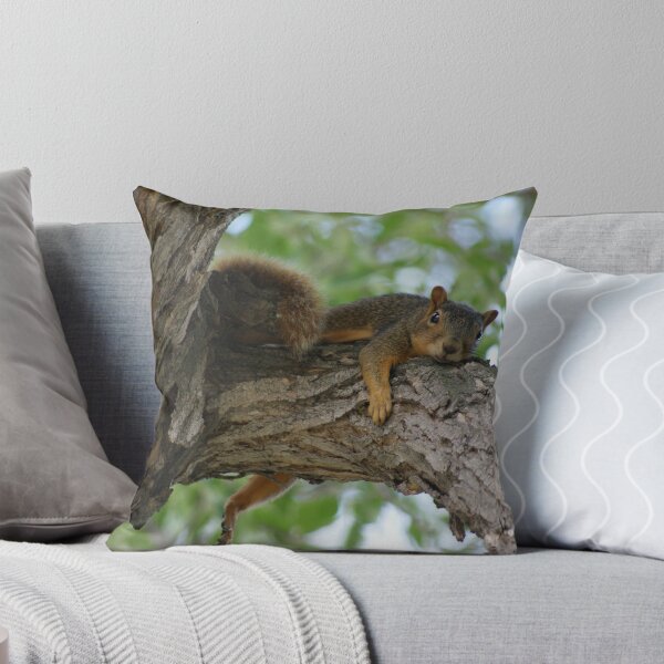 Item preview, Ardilla perezosa en la rama de un árbol designed and sold by jclos777.