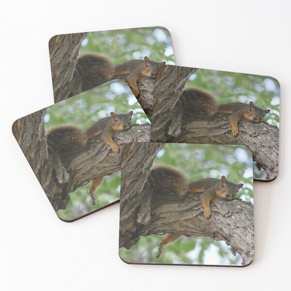 Item preview, Lazy squirrel on tree branch designed and sold by jclos777.