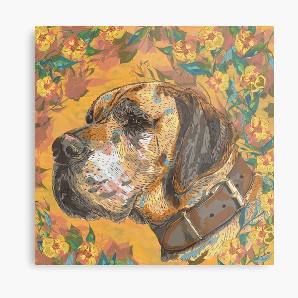 Great Dane Metal Print