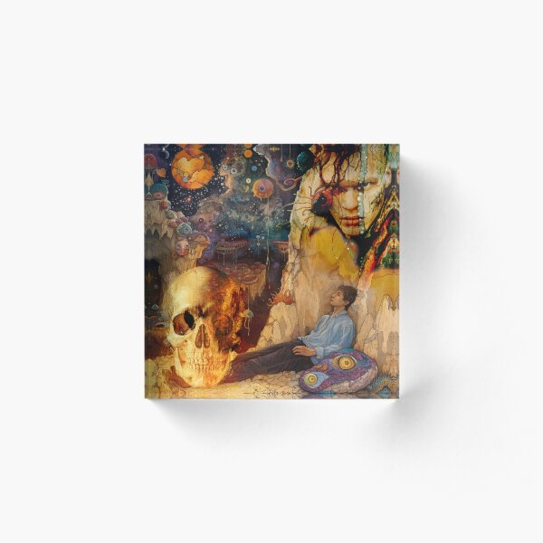 Renyke Dreams of Flex Book Of Immersion Illustration  Acrylic Block