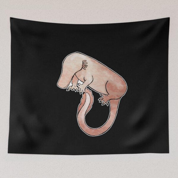 Item preview, olm opposoum designed and sold by notspork.
