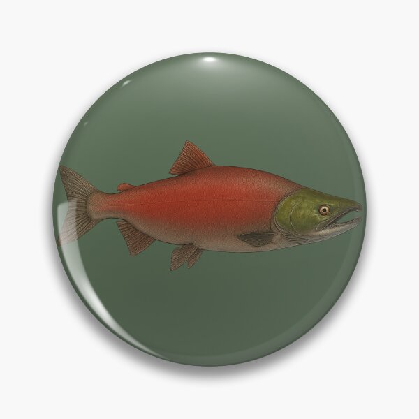 Item preview, Spawning Sockeye Salmon Illustration designed and sold by NoRestDesigns.