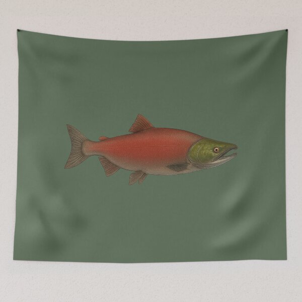 Item preview, Spawning Sockeye Salmon Illustration designed and sold by NoRestDesigns.