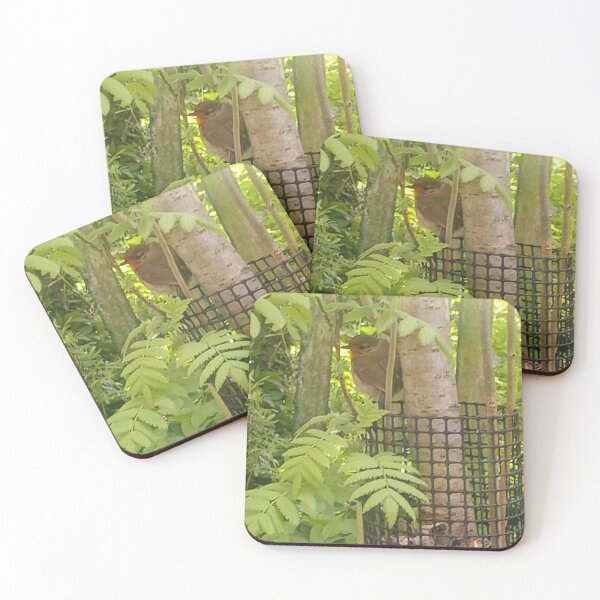 Item preview, #389 |☼| Robin (Burnby Hall Gardens) designed and sold by Naean H.F. (Nez Man).
