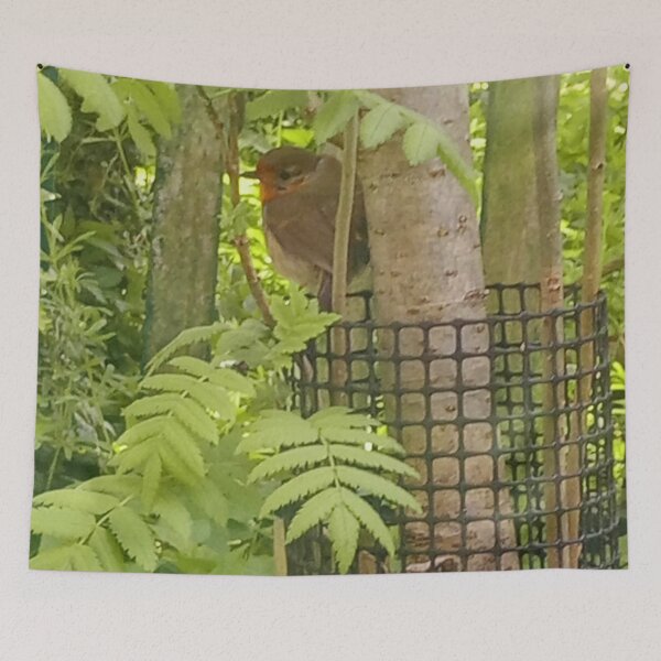Item preview, #389 |☼| Robin (Burnby Hall Gardens) designed and sold by Naean H.F. (Nez Man).