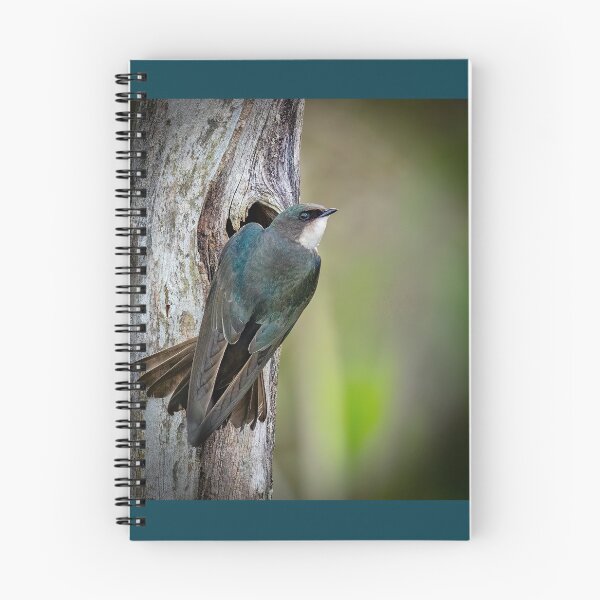 Item preview, A Tree Swallow at her Nest designed and sold by Shannon Emmel .