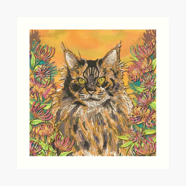 Honeysuckle Cat - Maine Coon Art Print