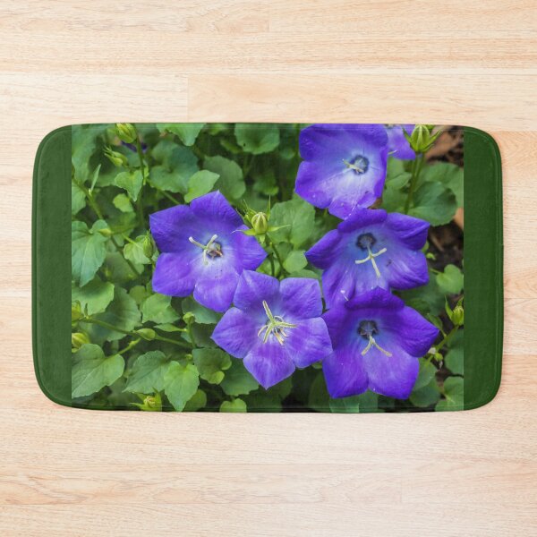 Item preview, Rapido Blue Bellflower, Campanula designed and sold by LINDA MCKUSICK.