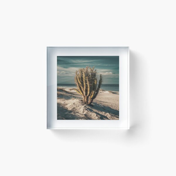 Item preview, Sandy Beach Landscape with Prominent Cactus designed and sold by AnimalAirtistry.