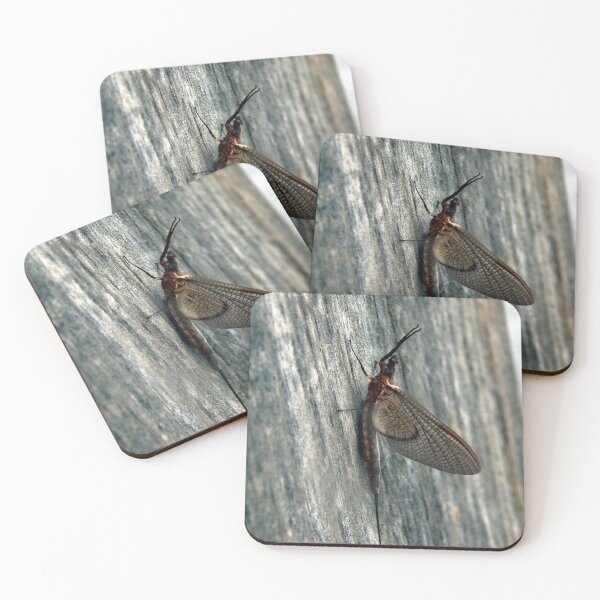Item preview, Emergent Mayfly on Post designed and sold by gistinker.
