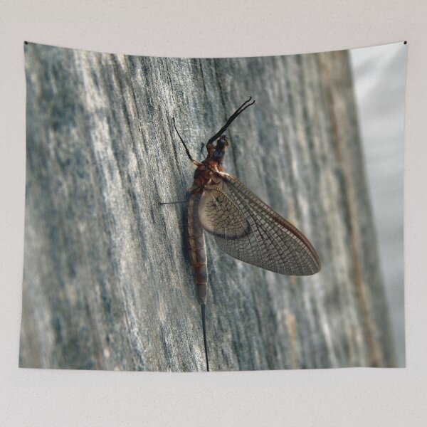 Item preview, Emergent Mayfly on Post designed and sold by gistinker.