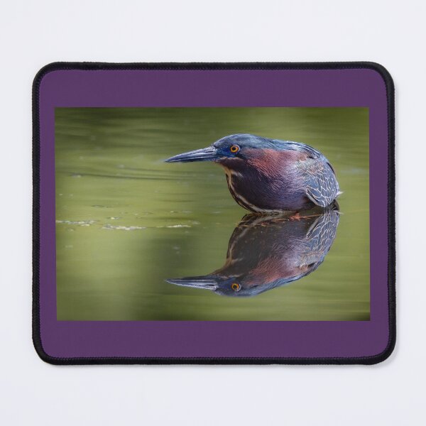 Item preview, Green Heron in a Pond designed and sold by Shannon Emmel .