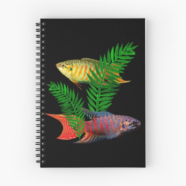 Item preview, Paradise Gouramis Fish Aquarium Fish Tank Lovers Art designed and sold by Aquarium Eclipse.