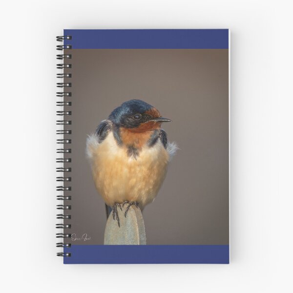 Item preview, Barn Swallow perched  designed and sold by Shannon Emmel .